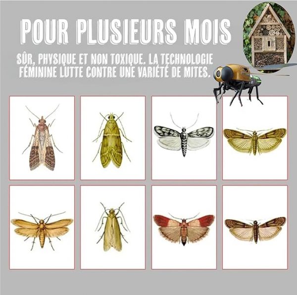 Pièges à Mites Double Action – Image 7