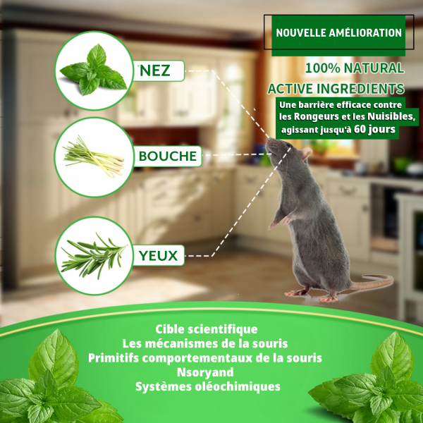 12 Balles x Repulsif Souris, Anti Souris, Anti Moustique, Répulsif Fourmi Anti Araignée Cafard Contre Les Souris Mieux Que Le Répulsif à Ultrasons e Piege a Souris – Image 3
