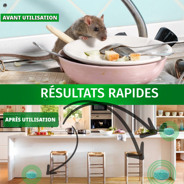 12 Balles x Repulsif Souris, Anti Souris, Anti Moustique, Répulsif Fourmi Anti Araignée Cafard Contre Les Souris Mieux Que Le Répulsif à Ultrasons e Piege a Souris – Image 4