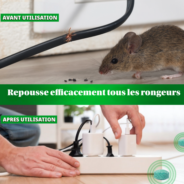 12 Balles x Repulsif Souris, Anti Souris, Anti Moustique, Répulsif Fourmi Anti Araignée Cafard Contre Les Souris Mieux Que Le Répulsif à Ultrasons e Piege a Souris – Image 5