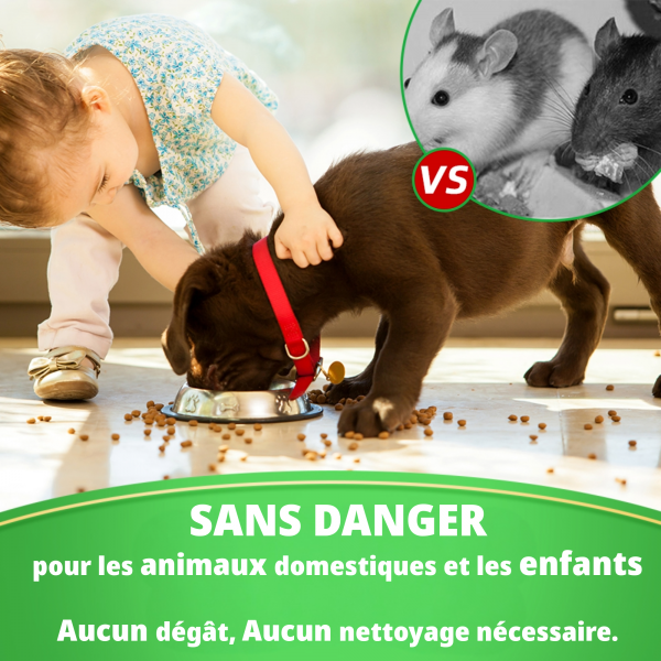 12 Balles x Repulsif Souris, Anti Souris, Anti Moustique, Répulsif Fourmi Anti Araignée Cafard Contre Les Souris Mieux Que Le Répulsif à Ultrasons e Piege a Souris – Image 8