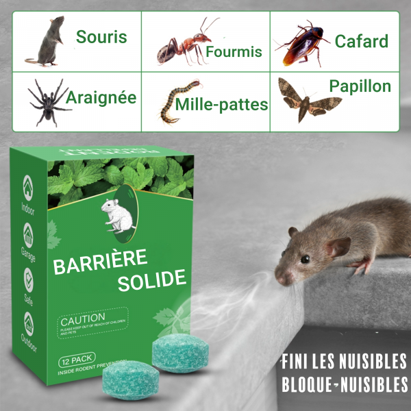 12 Balles x Repulsif Souris, Anti Souris, Anti Moustique, Répulsif Fourmi Anti Araignée Cafard Contre Les Souris Mieux Que Le Répulsif à Ultrasons e Piege a Souris – Image 7