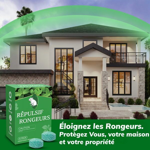12 Balles x Repulsif Souris, Anti Souris, Anti Moustique, Répulsif Fourmi Anti Araignée Cafard Contre Les Souris Mieux Que Le Répulsif à Ultrasons e Piege a Souris – Image 6